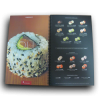 Catalogos